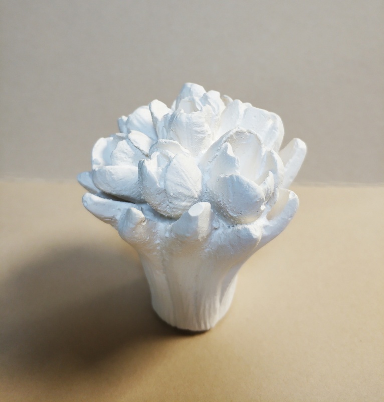 картинка Букеты тюльпанов