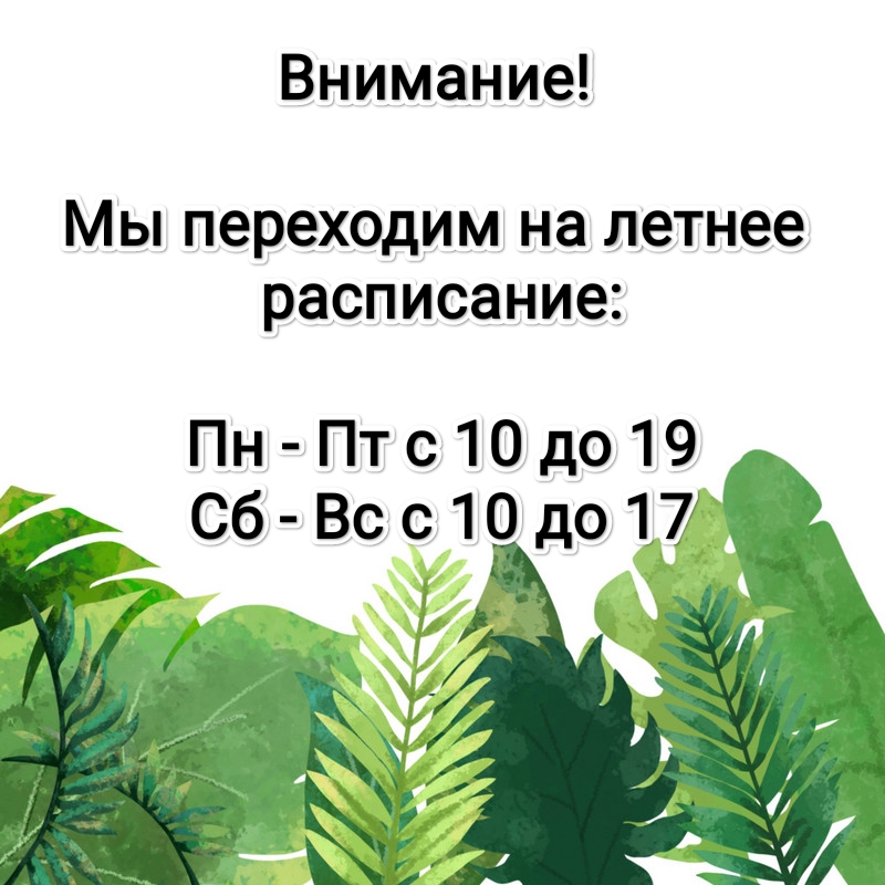 Внимание! Мы переходим на летнее расписание